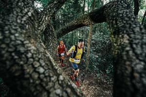 BIB: 
                            <button type="button" onclick="openModal(25392017)" class="btn btn-primary btn-sm float-right btn-popup" data-toggle="modal" data-target=".modal-high-quality">
                        <i class="fas fa-shopping-cart"></i> Add to Cart
                    </button>
                                            <button type="button" onclick="isThisMe(25392017, true)" class="btn btn-success btn-sm float-right btn-popup btn-isme hidden" data-toggle="tooltip" data-placement="bottom" title="นี่คือรูปของคุณใช่ไหม คลิกที่นี่เพื่อเอาเข้าอัลบั้ม">
                        <i class="fas fa-plus"></i> Add to album
                    </button>
                    <button type="button" onclick="isThisMe(25392017, false)" class="btn btn-warning btn-sm float-right btn-popup btn-isnotme hidden">
                        <i class="fas fa-ban"></i> Remove from album
                    </button>